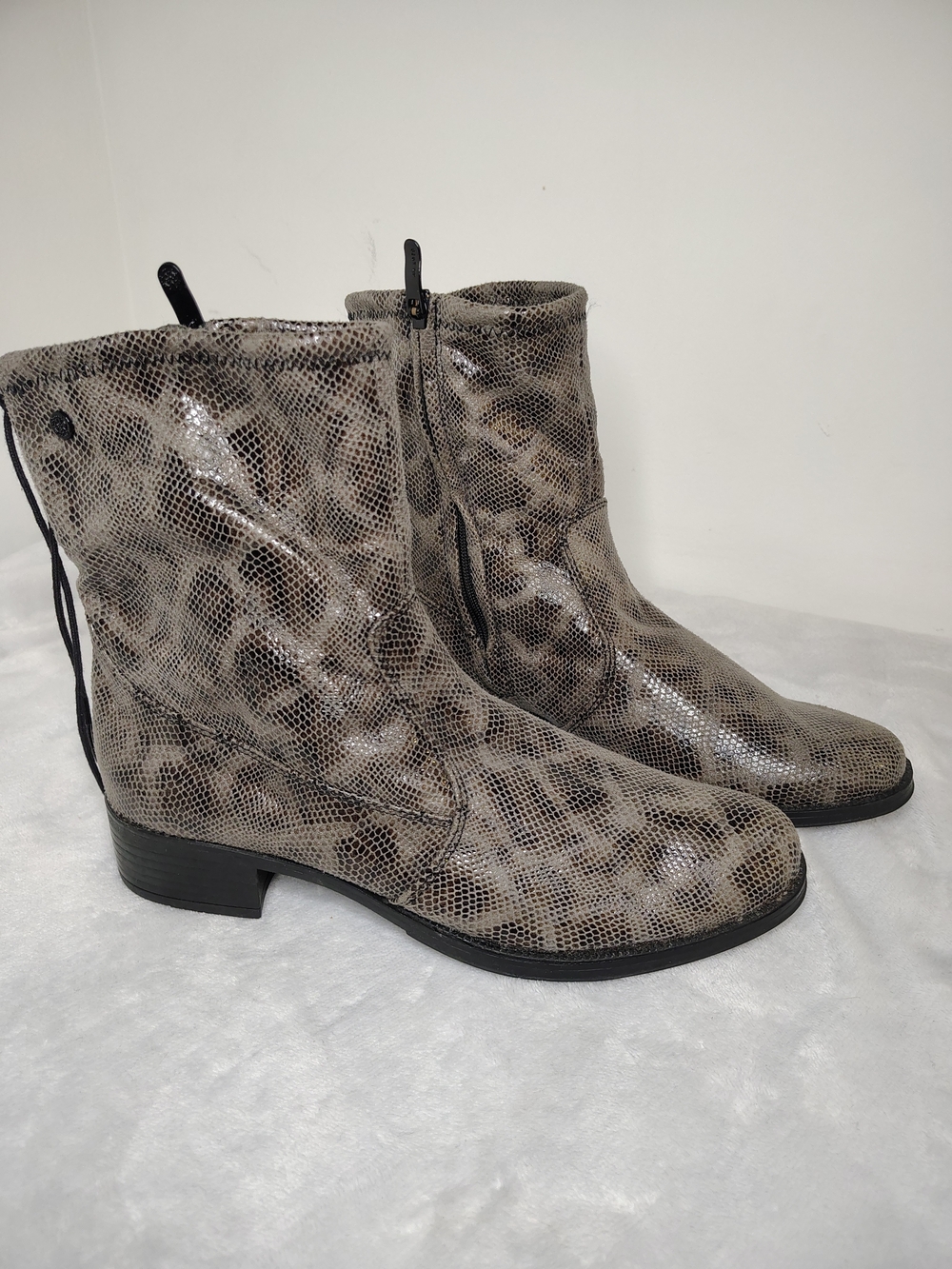 bussola Snake-Print Ankle Boots in Taupe and Black